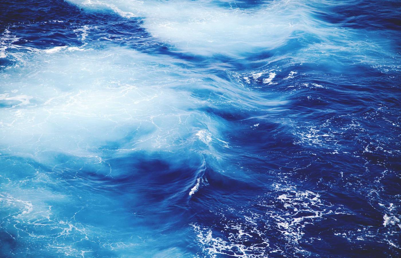 Portret Andra Stănescu