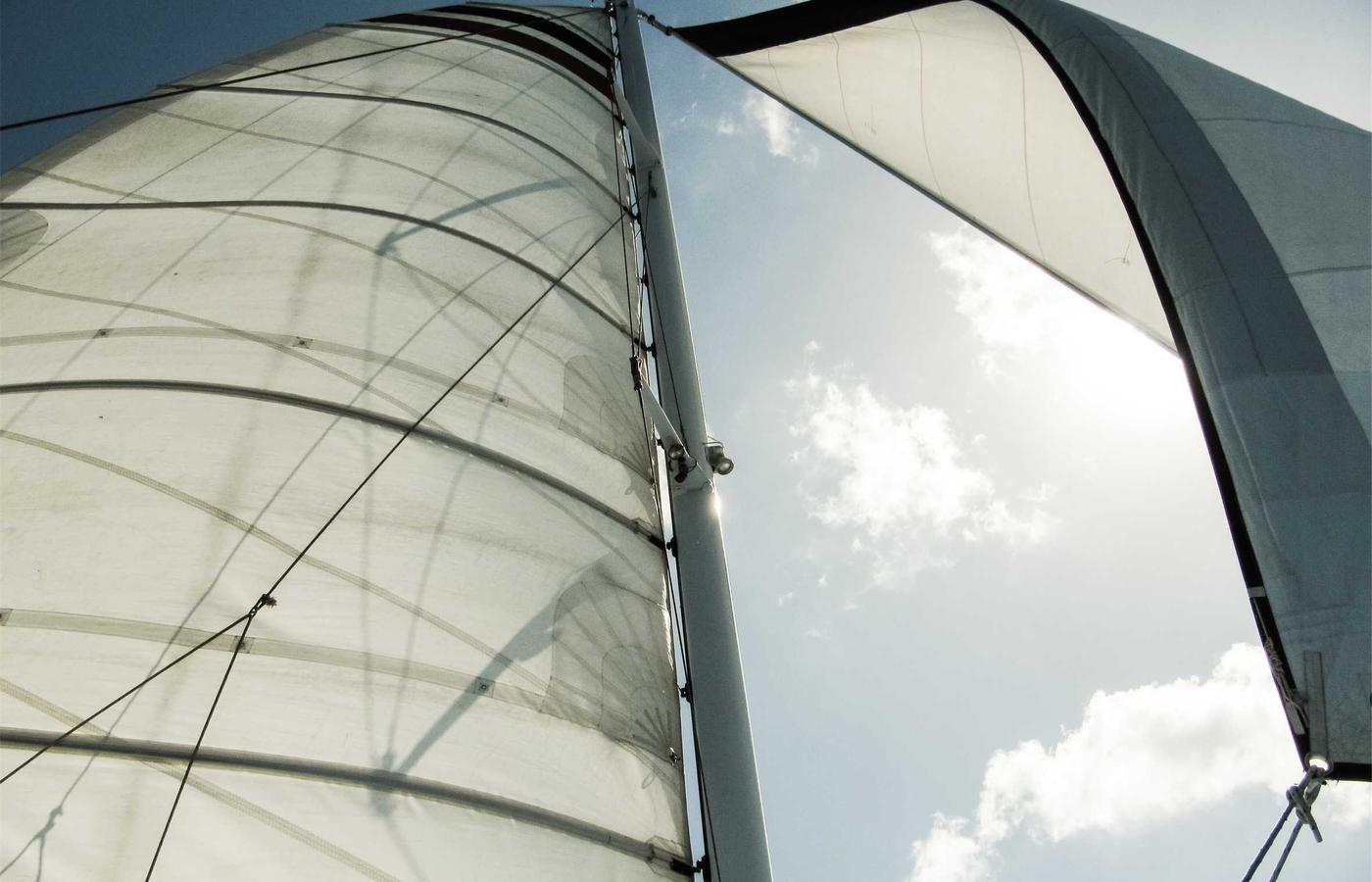 Portret Mihai Popescu